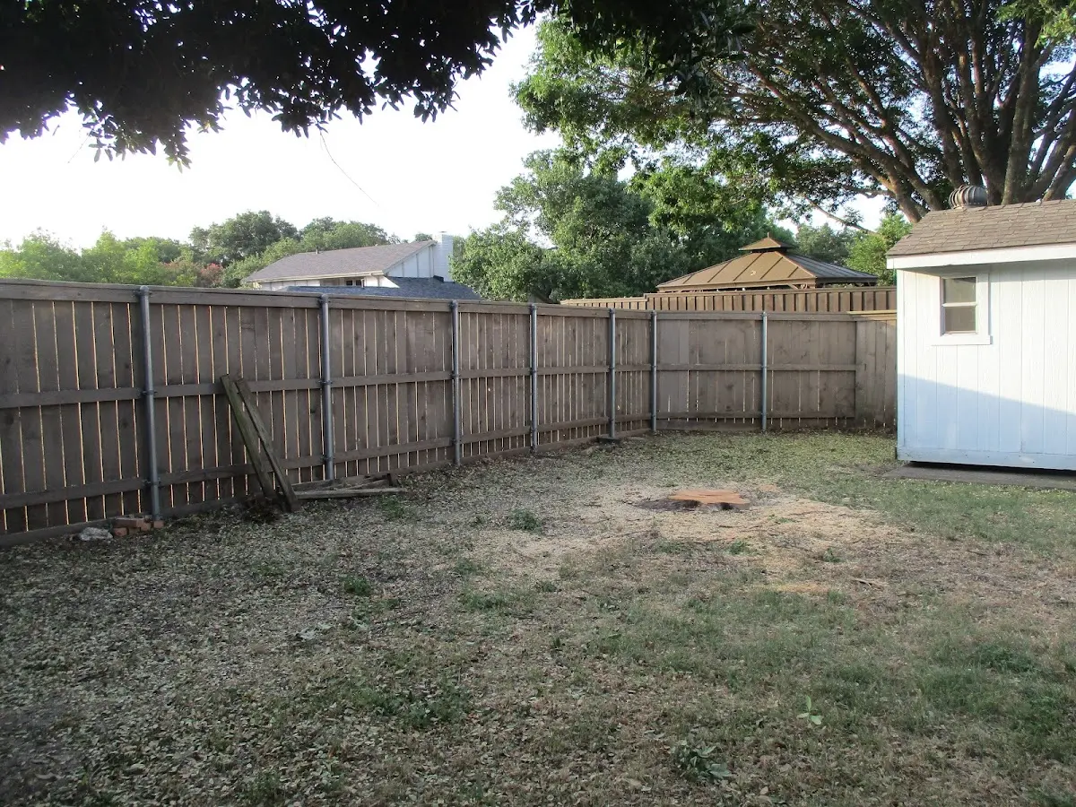 Cleared yard after professional tree removal in Westport